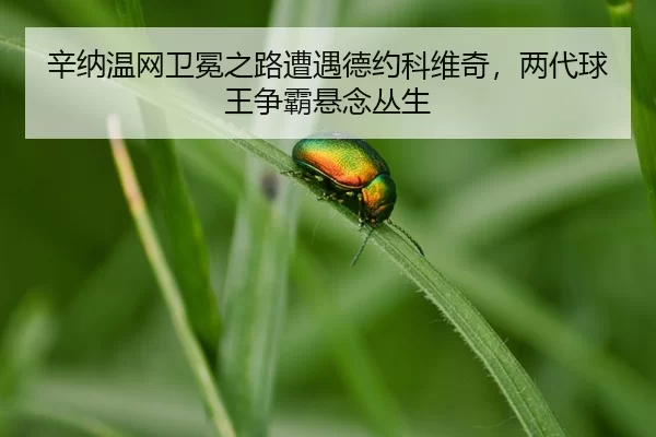 xin-na-wen-wang-wei-mian-zhi-lu-zao-yu-de-yue-ke-wei-qi-liang-dai-qiu-wang-zheng-ba-xuan-nian-cong-sheng-3-420.jpg